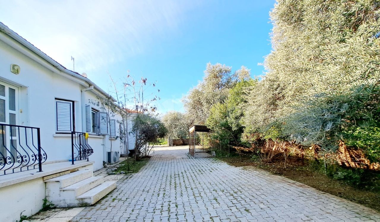 Bungalow in Nord Zypern – Foto 11 von 21