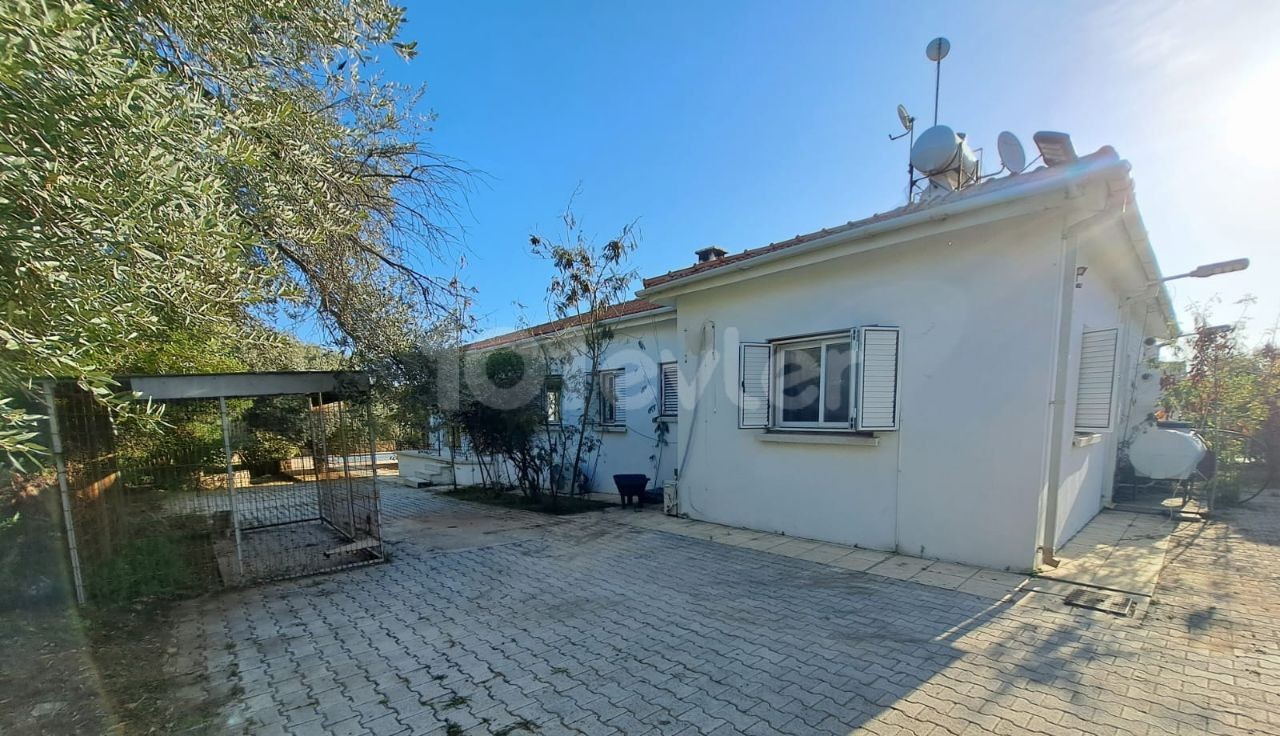 Bungalow in Nord Zypern – Foto 13 von 21