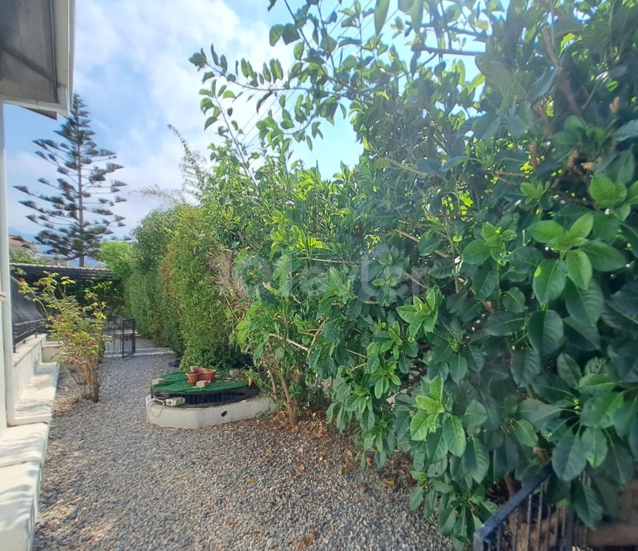 Bungalow in Girne (Kyrenia), Nord Zypern – Foto 7 von 42
