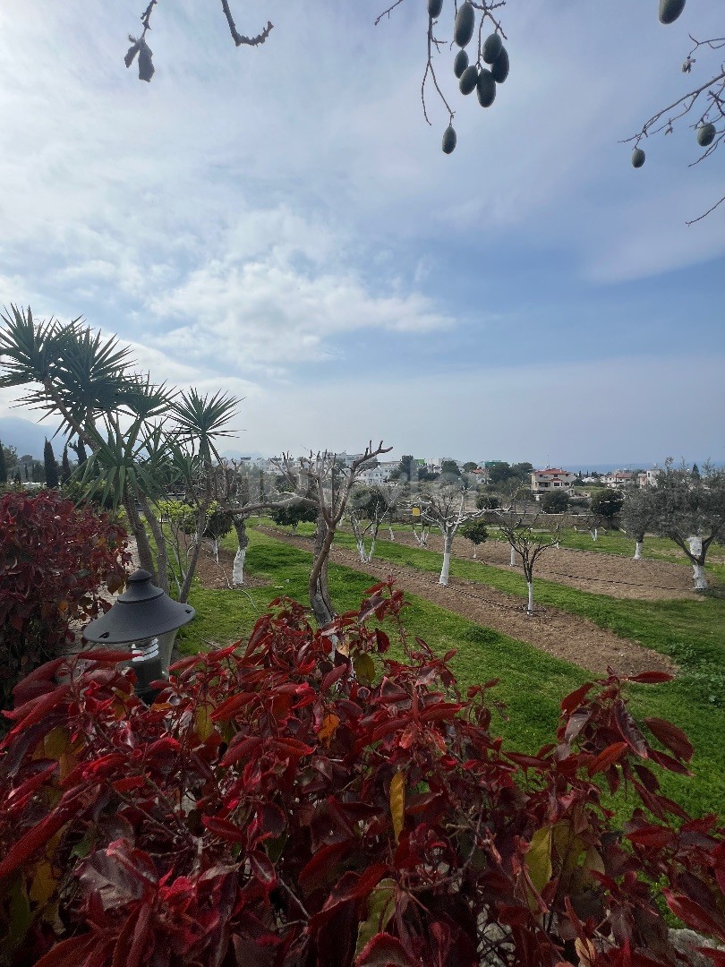 Villa in Nord Zypern – Foto 4 von 40