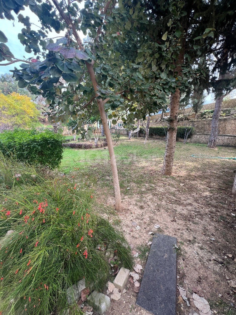 Villa in Nord Zypern – Foto 9 von 40
