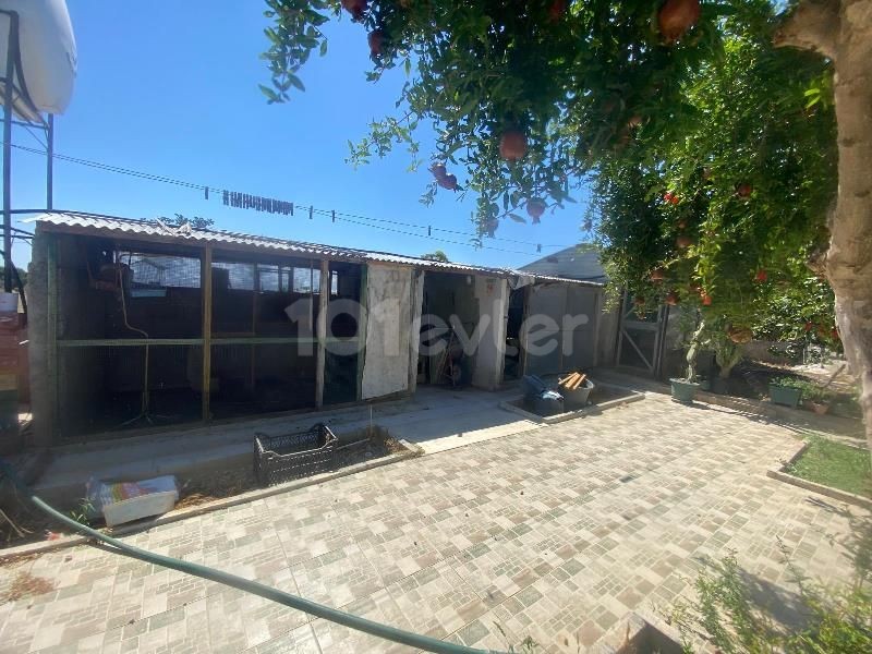 Bungalow in İskele, Nord Zypern – Foto 24 von 29