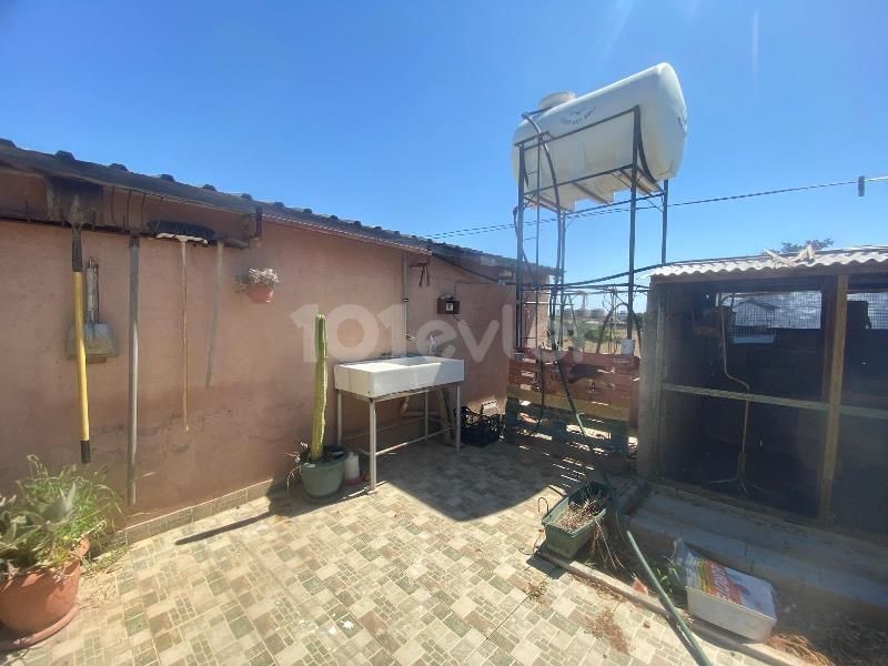 Bungalow in İskele, Nord Zypern – Foto 25 von 29