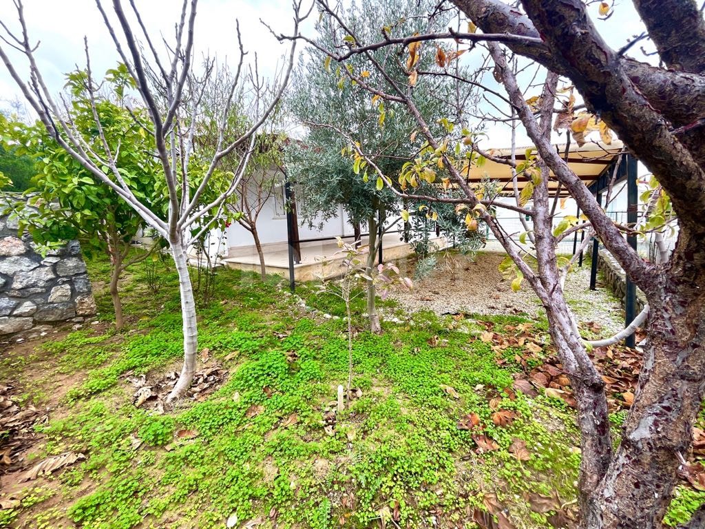 Bungalow in Çatalköy, Nord Zypern – Foto 26 von 30