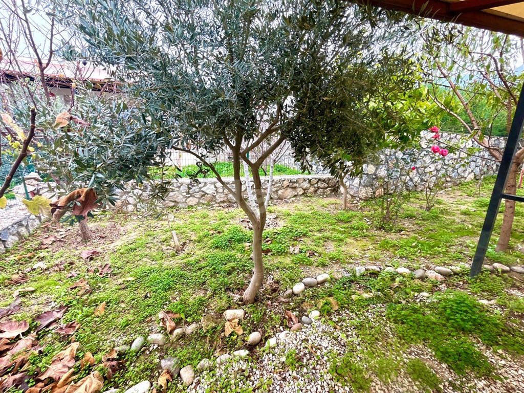 Bungalow in Çatalköy, Nord Zypern – Foto 28 von 30