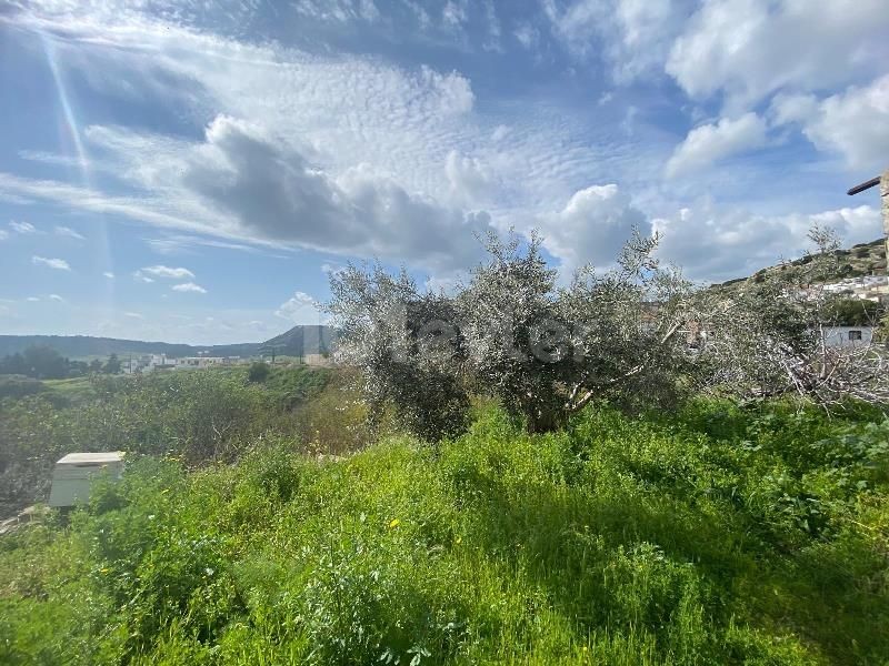 Bungalow in Kaleburnu, Nord Zypern – Foto 5 von 31