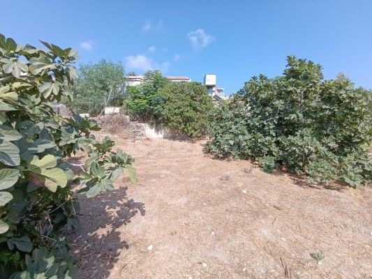 Bungalow in Kaleburnu, Nord Zypern – Foto 25 von 31
