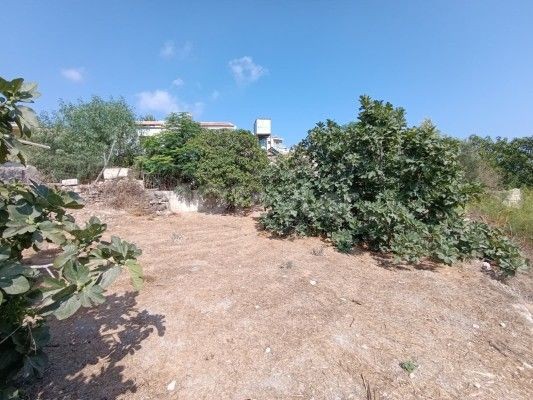 Bungalow in Kaleburnu, Nord Zypern – Foto 30 von 31