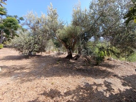Bungalow in Kaleburnu, Nord Zypern – Foto 31 von 31
