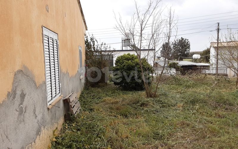Bungalow in Sınırüstü, Nord Zypern – Foto 3 von 39