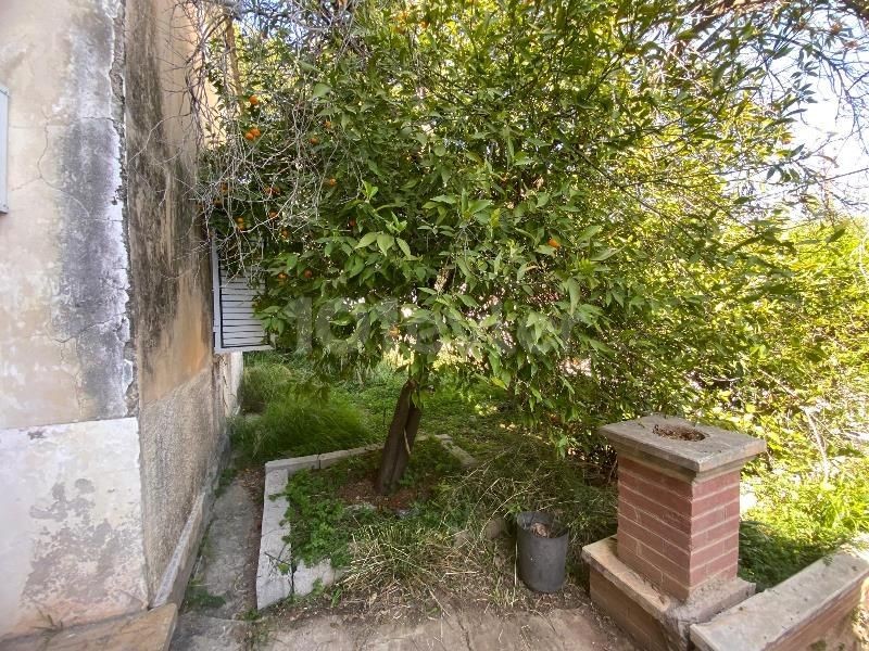 Bungalow in Sınırüstü, Nord Zypern – Foto 31 von 39