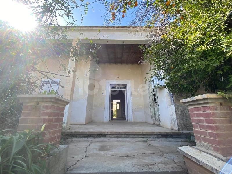 Bungalow in Sınırüstü, Nord Zypern – Foto 36 von 39