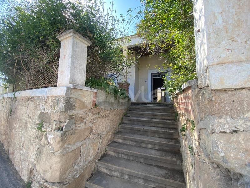 Bungalow in Sınırüstü, Nord Zypern – Foto 37 von 39