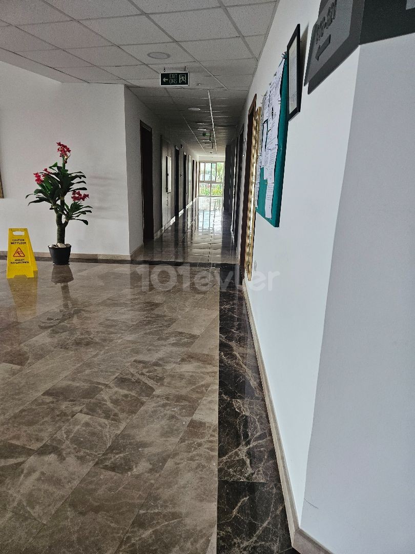 Wohnung in Zeytinlik, Nord Zypern – Foto 9 von 12