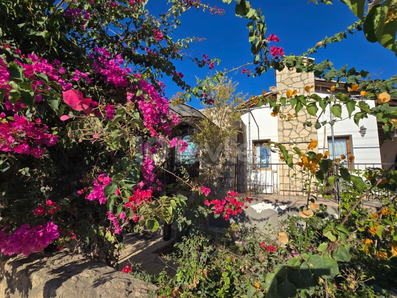 Bungalow in Alsancak, Nord Zypern – Foto 4 von 26