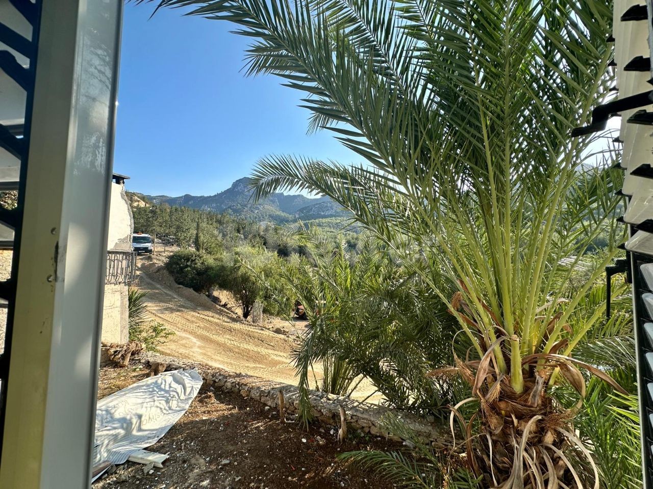 Bungalow in Çatalköy, Nord Zypern – Foto 6 von 40