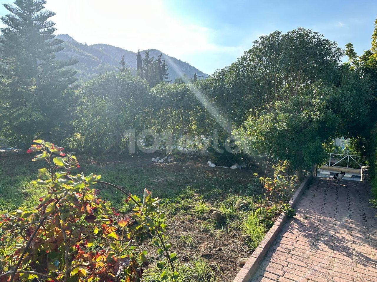 Bungalow in Çatalköy, Nord Zypern – Foto 32 von 40