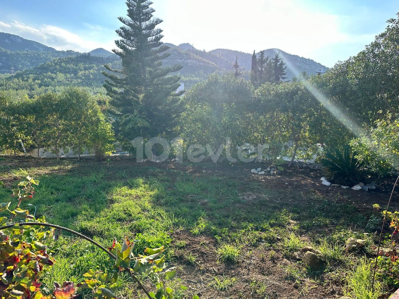 Bungalow in Çatalköy, Nord Zypern – Foto 35 von 40