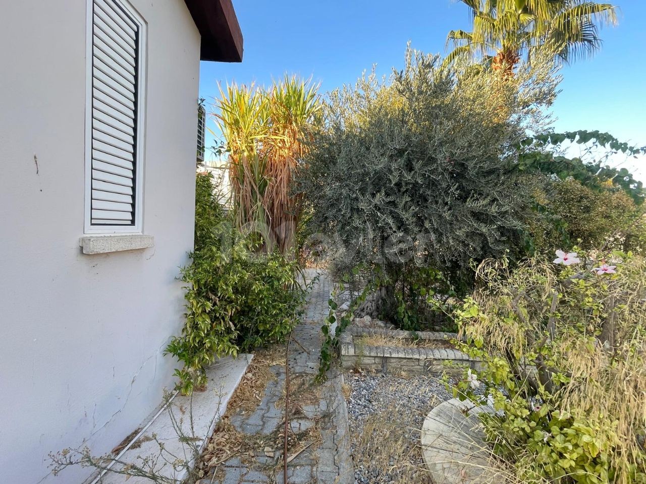 Bungalow in Nord Zypern – Foto 1 von 33