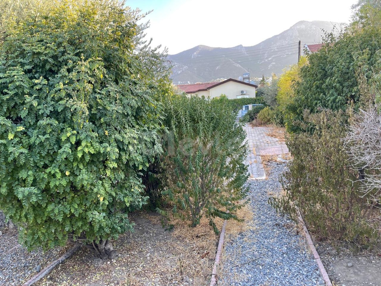 Bungalow in Nord Zypern – Foto 3 von 33