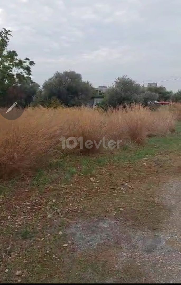 Bungalow in Karşıyaka, Nord Zypern – Foto 3 von 5