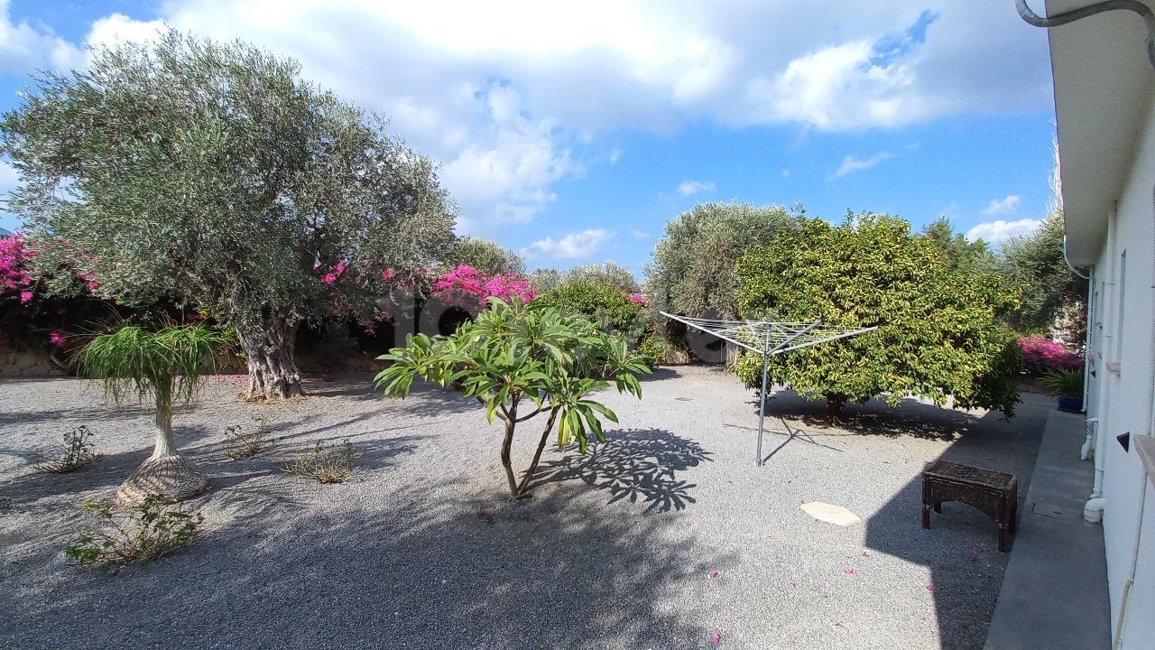 Bungalow in Ozanköy, Nord Zypern – Foto 5 von 40