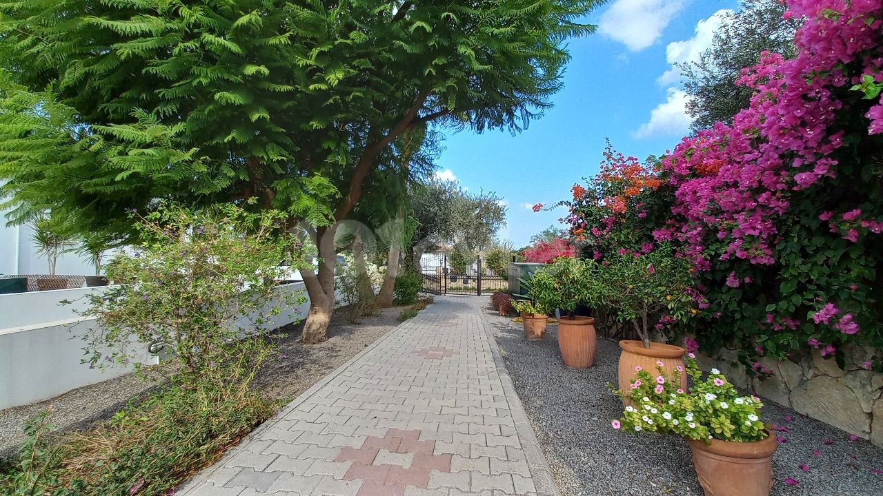 Bungalow in Ozanköy, Nord Zypern – Foto 11 von 40