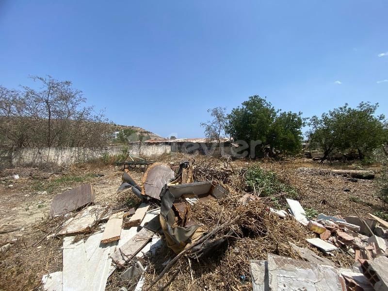 Bungalow in Yarköy, Nord Zypern – Foto 21 von 29