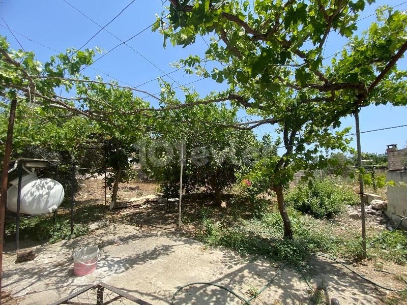 Bungalow in Yarköy, Nord Zypern – Foto 24 von 29