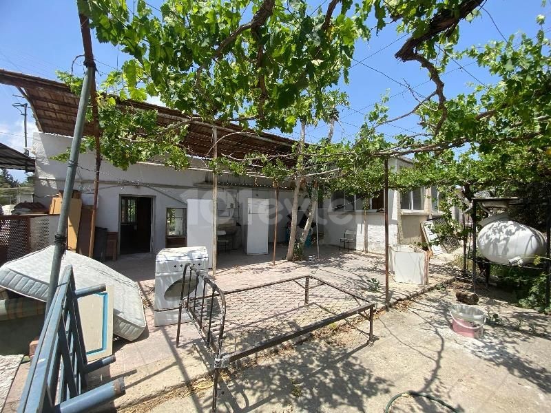 Bungalow in Yarköy, Nord Zypern – Foto 25 von 29