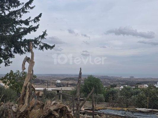Bungalow in Ardahan, Nord Zypern – Foto 37 von 40