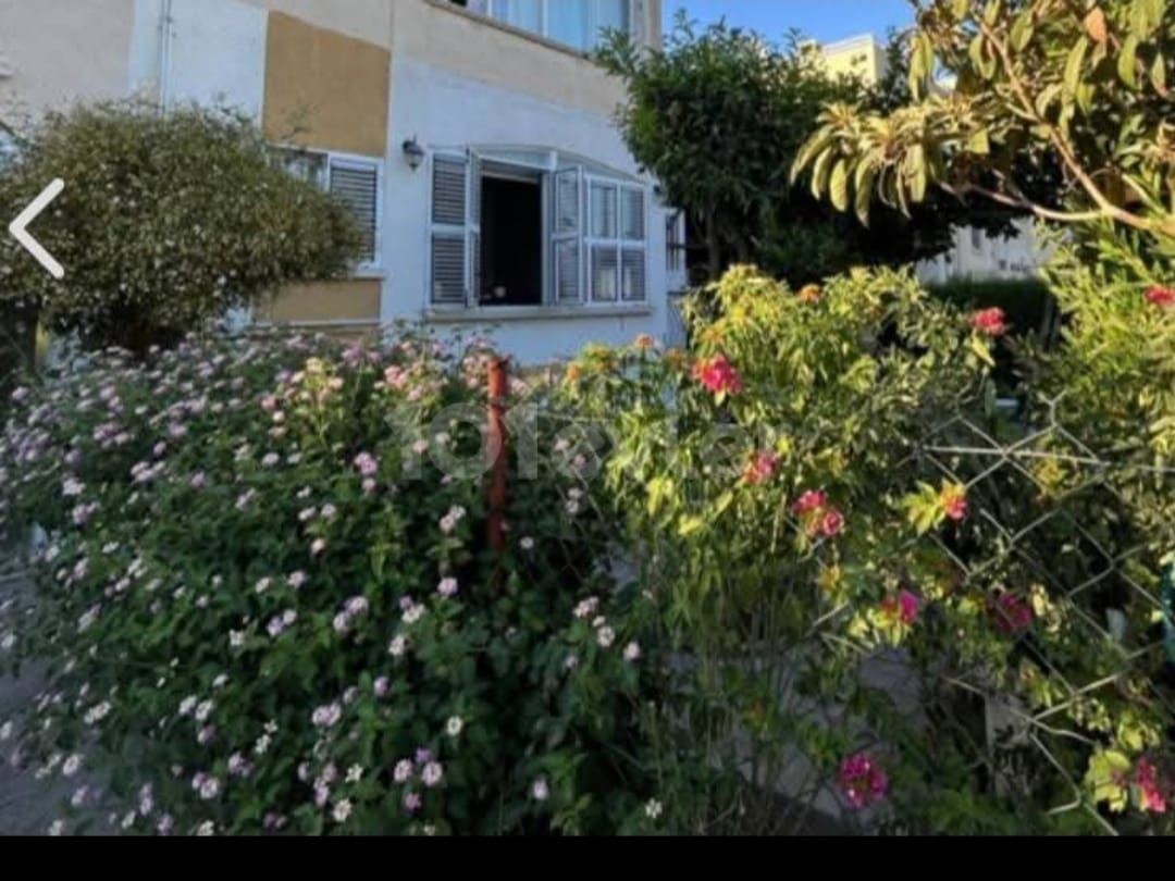 Wohnung in Zeytinlik, Nord Zypern – Foto 6 von 13